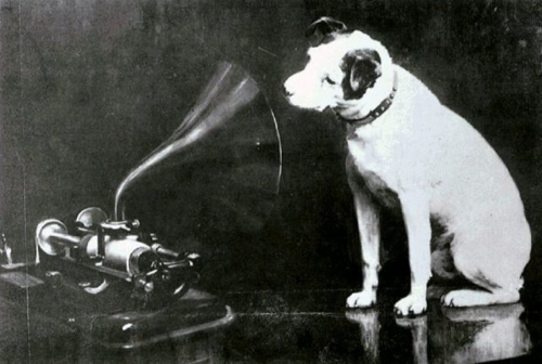 Perro escuchando gramófono